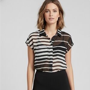 MYSTREE Sheer Button Down Blouse, Women’s M, Black White